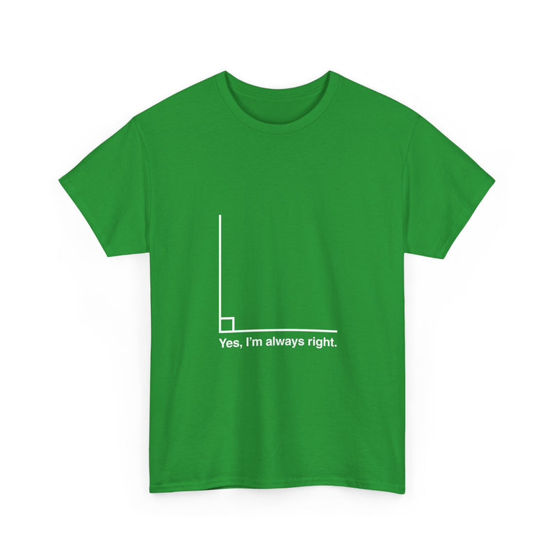 Funny Geek T-Shirt, Nerd Shirt, Math Humor Tee, Always Right Graph Shirt, Sarcastic Science Gift, Clever Joke Top, Geeky Casual Wear