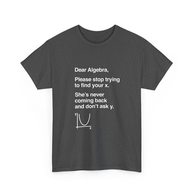 Funny Algebra T-Shirt, Math Humor Tee, Geek T-Shirt, Nerd Shirt, Sarcastic Science Gift, Educational Joke Top, Student Study Shirt