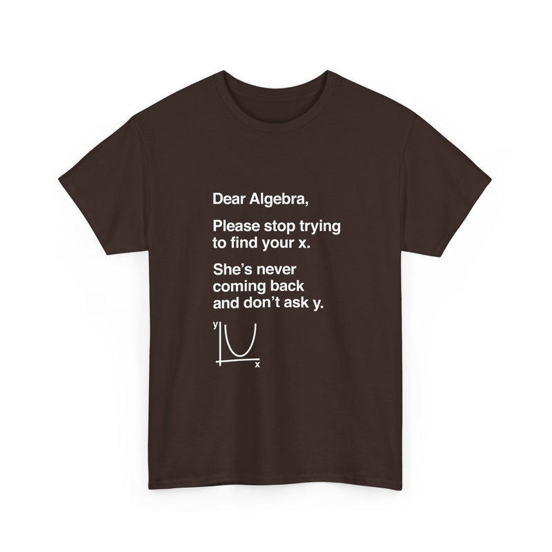 Funny Algebra T-Shirt, Math Humor Tee, Geek T-Shirt, Nerd Shirt, Sarcastic Science Gift, Educational Joke Top, Student Study Shirt