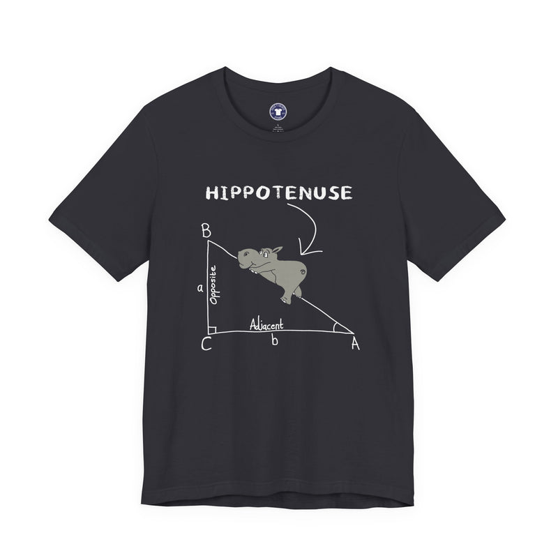 Geometry Hippotenuse Hypotenuse - Premium Unisex Crewneck T-Shirt