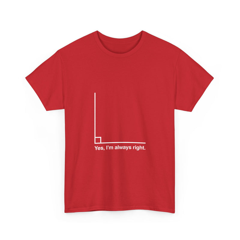 Funny Geek T-Shirt, Nerd Shirt, Math Humor Tee, Always Right Graph Shirt, Sarcastic Science Gift, Clever Joke Top, Geeky Casual Wear