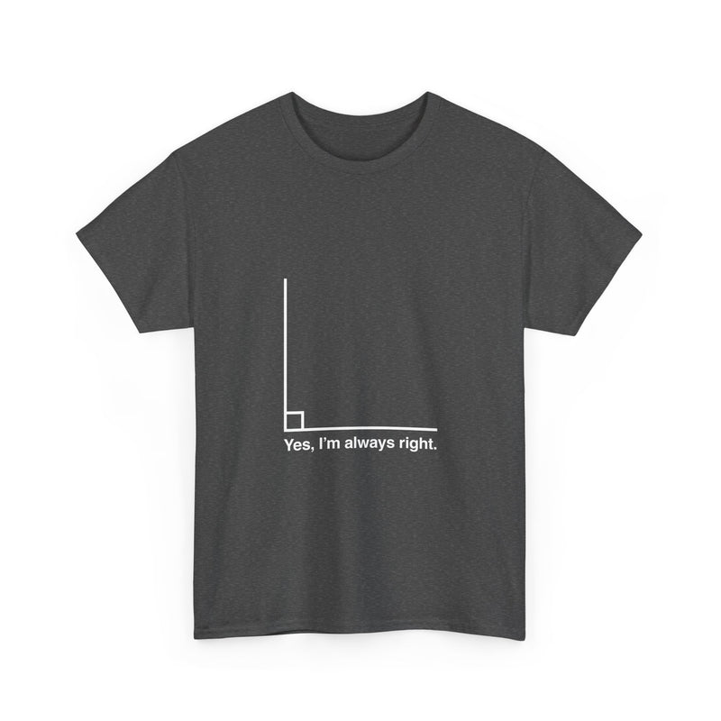 Funny Geek T-Shirt, Nerd Shirt, Math Humor Tee, Always Right Graph Shirt, Sarcastic Science Gift, Clever Joke Top, Geeky Casual Wear