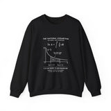 The Natural Logarithm Sweatshirt