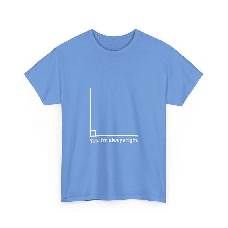 Funny Geek T-Shirt, Nerd Shirt, Math Humor Tee, Always Right Graph Shirt, Sarcastic Science Gift, Clever Joke Top, Geeky Casual Wear