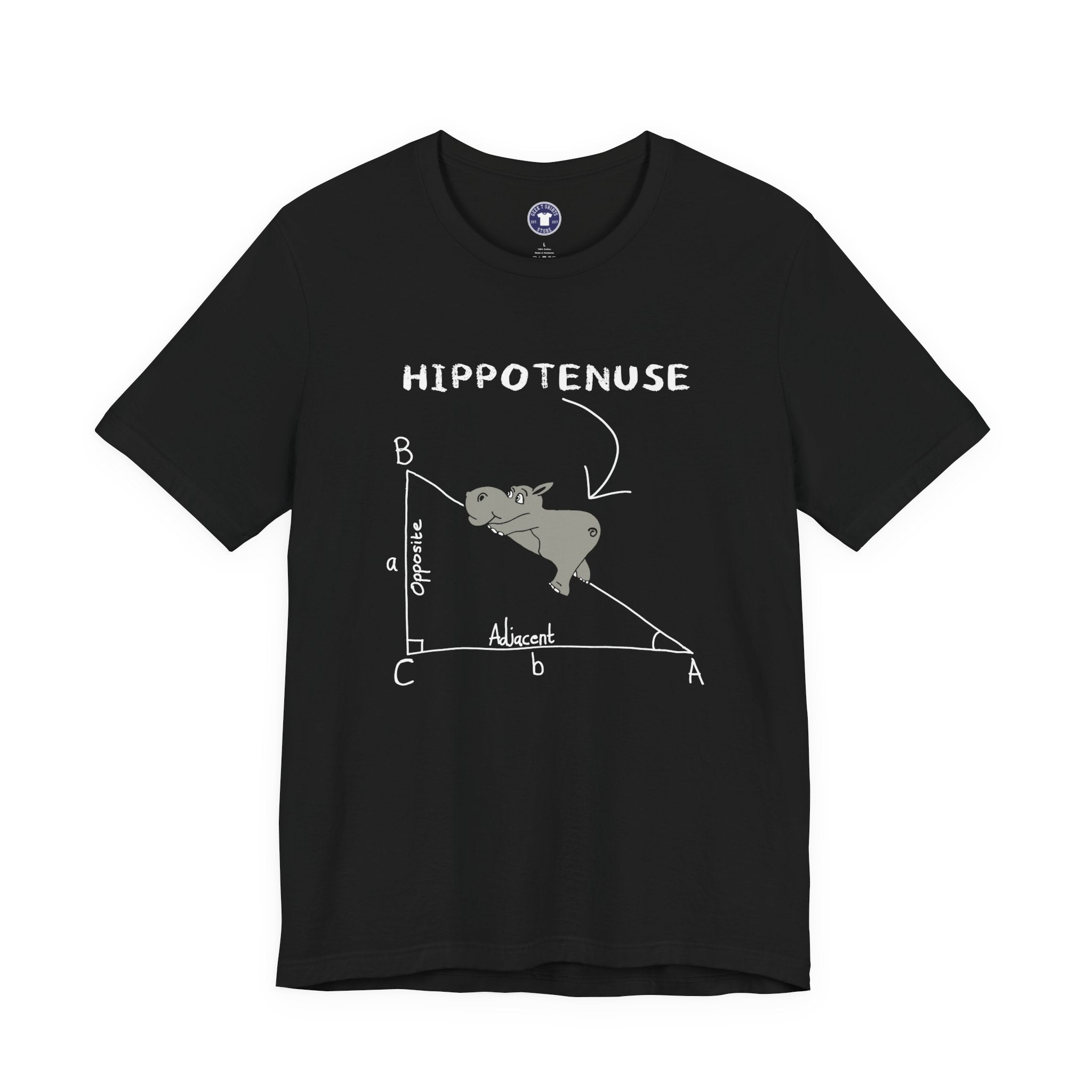 Geometry Hippotenuse Hypotenuse - Premium Unisex Crewneck T-Shirt
