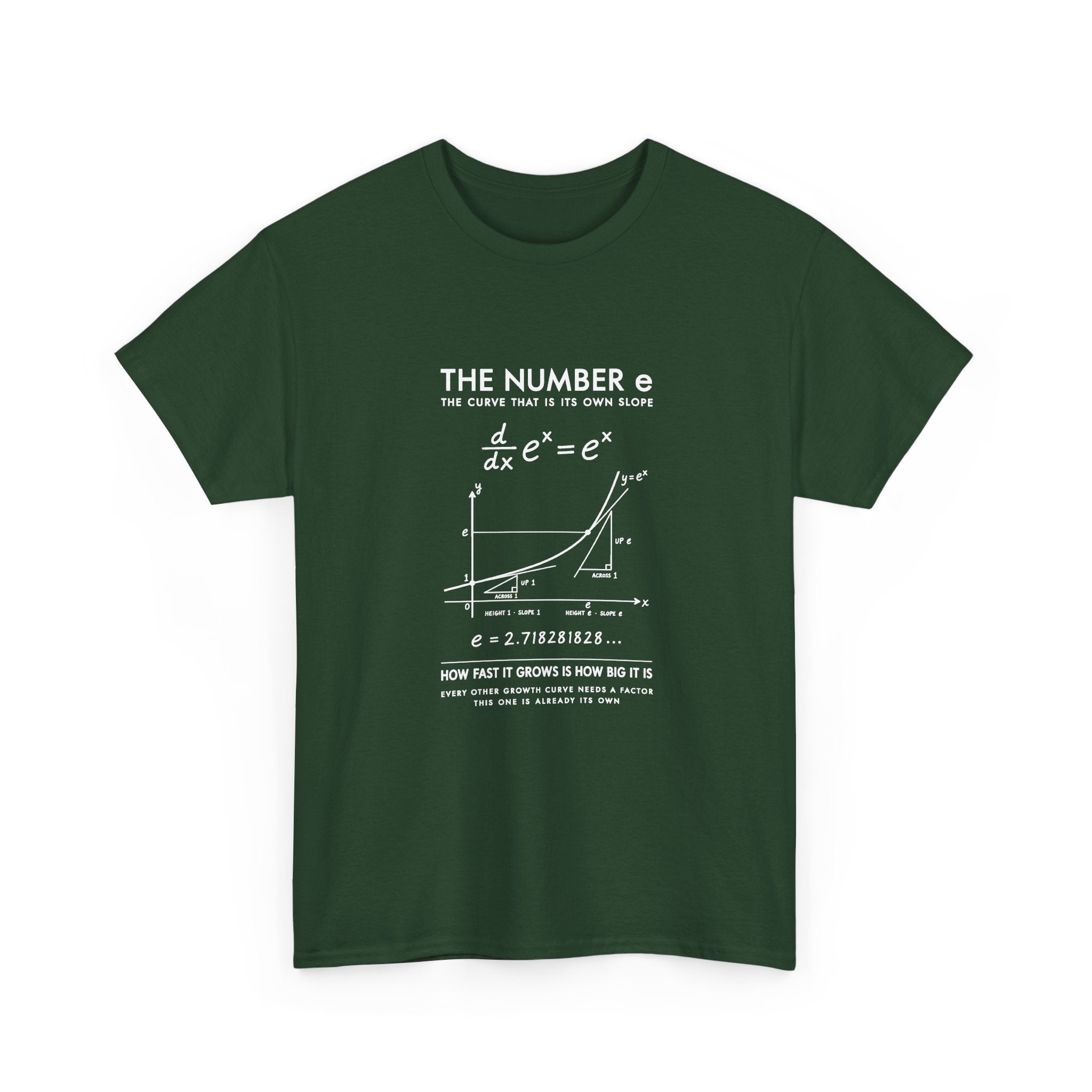 The Number e