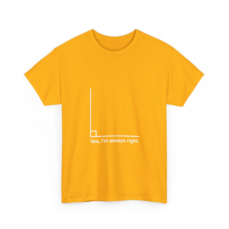 Funny Geek T-Shirt, Nerd Shirt, Math Humor Tee, Always Right Graph Shirt, Sarcastic Science Gift, Clever Joke Top, Geeky Casual Wear