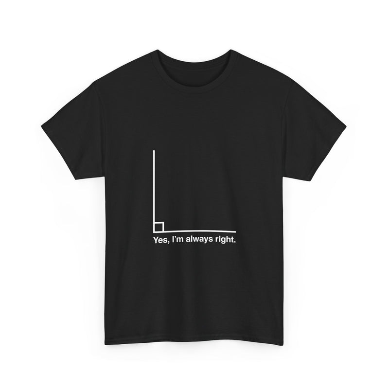 Funny Geek T-Shirt, Nerd Shirt, Math Humor Tee, Always Right Graph Shirt, Sarcastic Science Gift, Clever Joke Top, Geeky Casual Wear