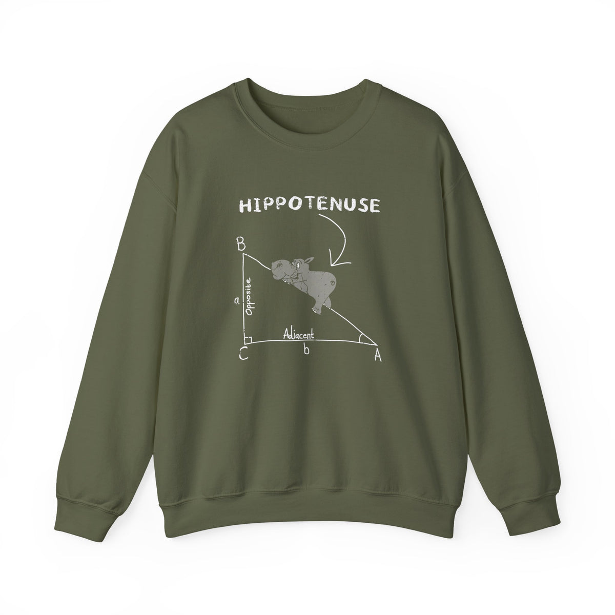 Geometry Hippotenuse Sweatshirt