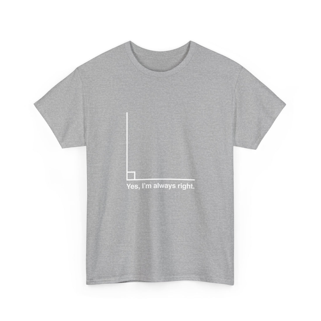 Funny Geek T-Shirt, Nerd Shirt, Math Humor Tee, Always Right Graph Shirt, Sarcastic Science Gift, Clever Joke Top, Geeky Casual Wear