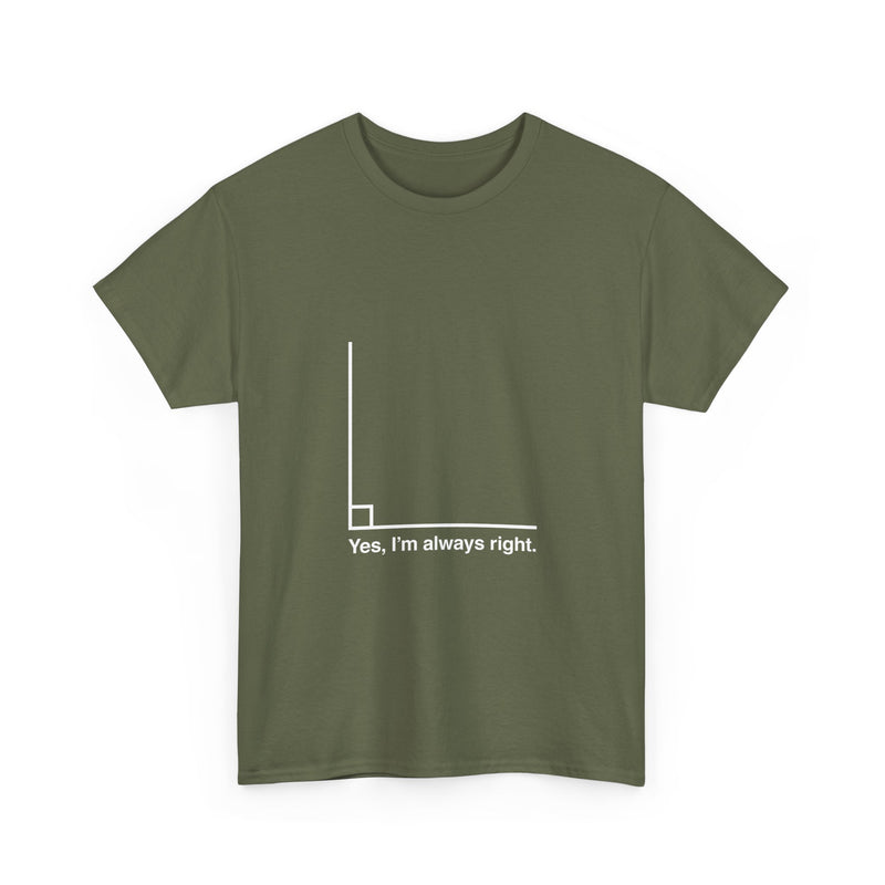 Funny Geek T-Shirt, Nerd Shirt, Math Humor Tee, Always Right Graph Shirt, Sarcastic Science Gift, Clever Joke Top, Geeky Casual Wear