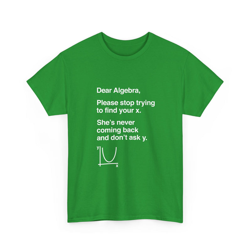 Funny Algebra T-Shirt, Math Humor Tee, Geek T-Shirt, Nerd Shirt, Sarcastic Science Gift, Educational Joke Top, Student Study Shirt