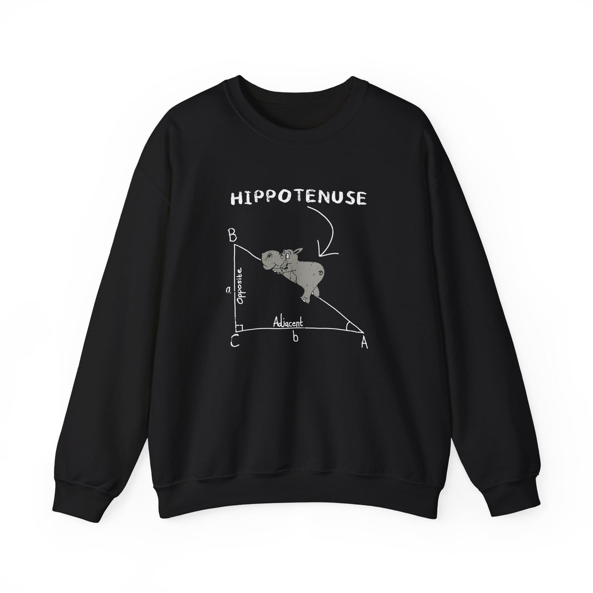 Geometry Hippotenuse Sweatshirt