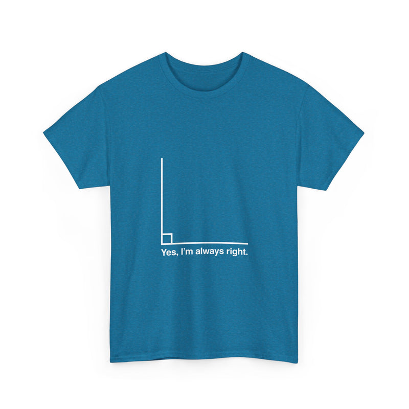 Funny Geek T-Shirt, Nerd Shirt, Math Humor Tee, Always Right Graph Shirt, Sarcastic Science Gift, Clever Joke Top, Geeky Casual Wear
