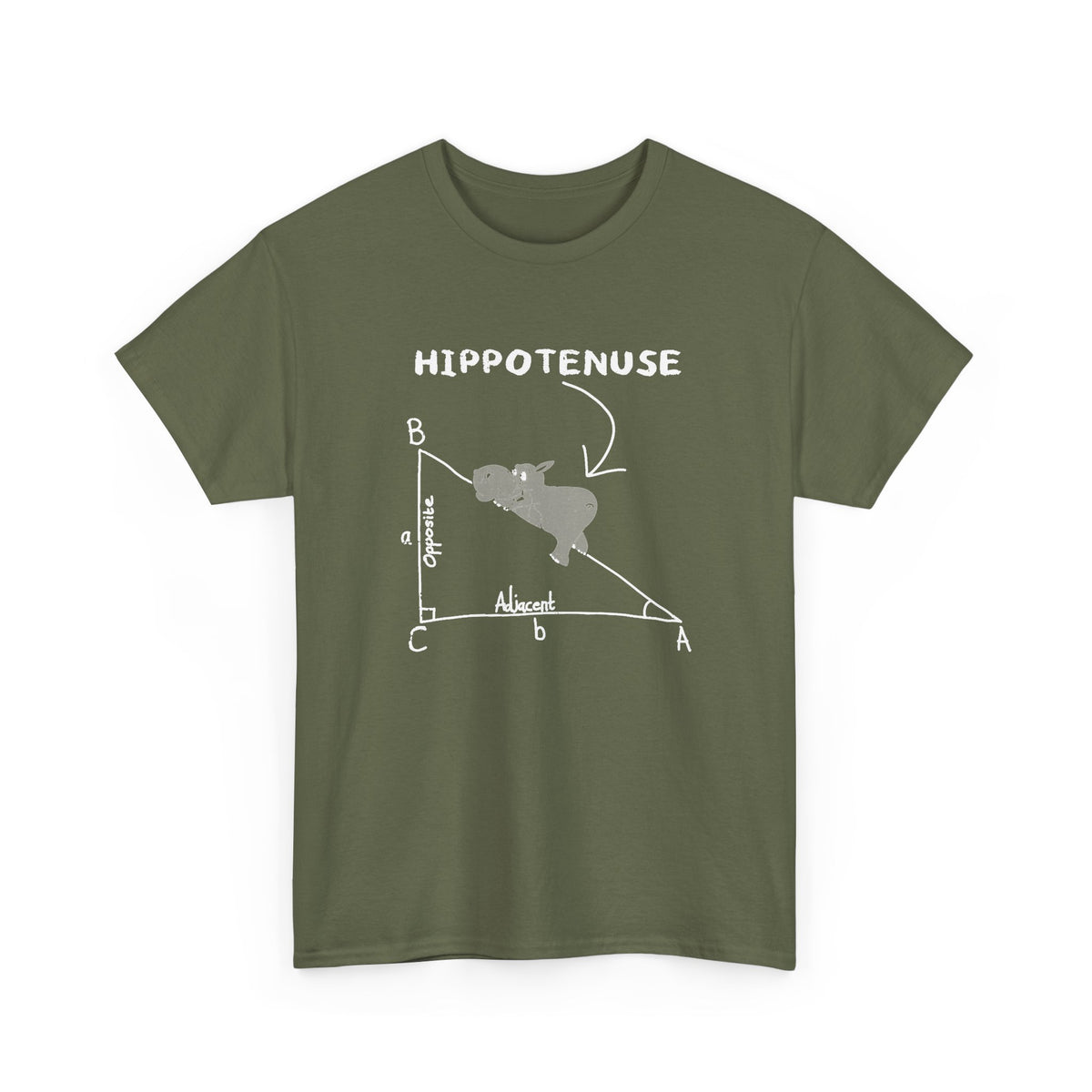 Geometry Hippotenuse