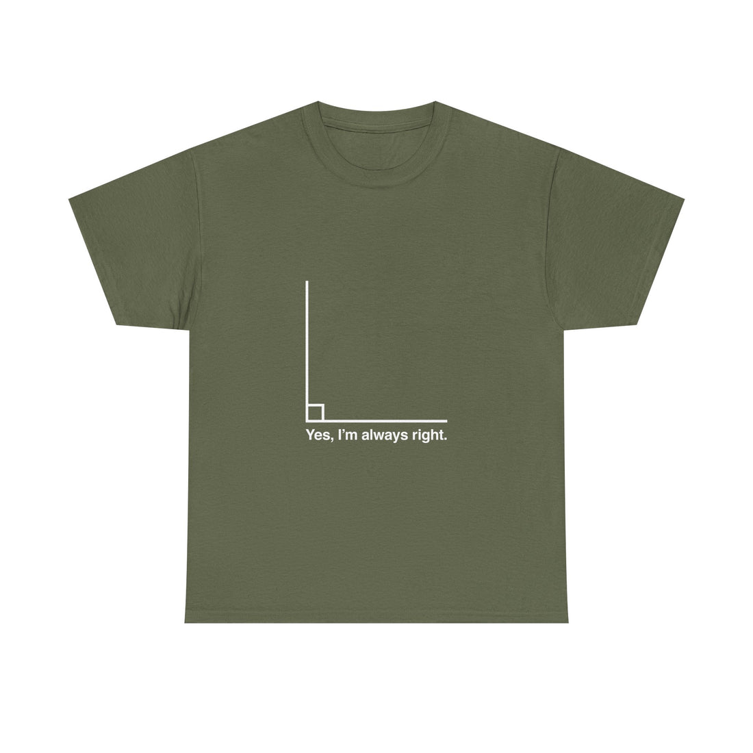 Funny Geek T-Shirt, Nerd Shirt, Math Humor Tee, Always Right Graph Shirt, Sarcastic Science Gift, Clever Joke Top, Geeky Casual Wear
