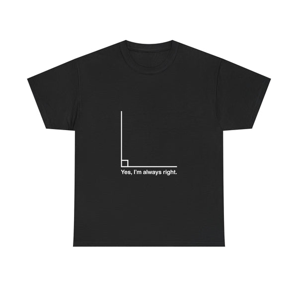Funny Geek T-Shirt, Nerd Shirt, Math Humor Tee, Always Right Graph Shirt, Sarcastic Science Gift, Clever Joke Top, Geeky Casual Wear