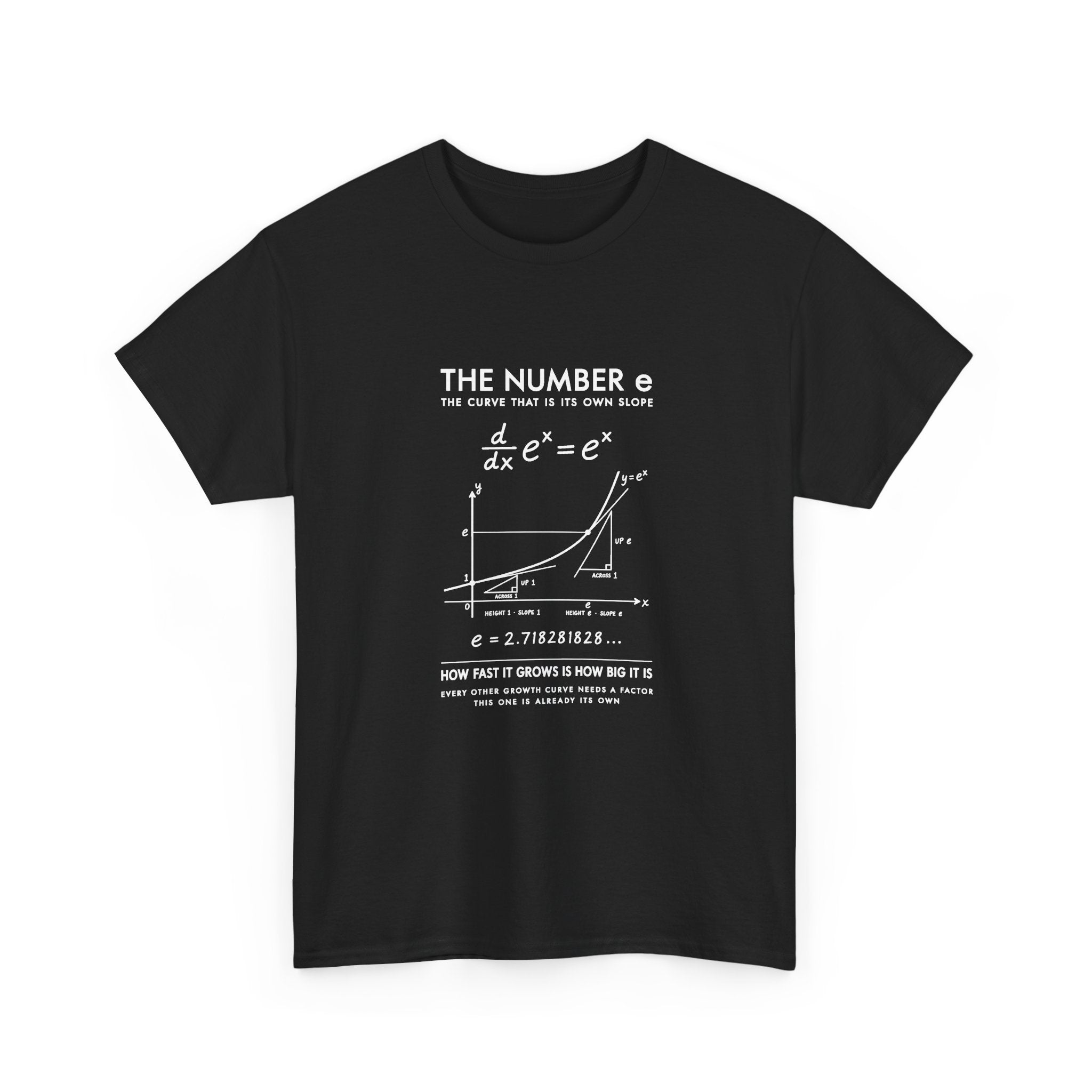 The Number e