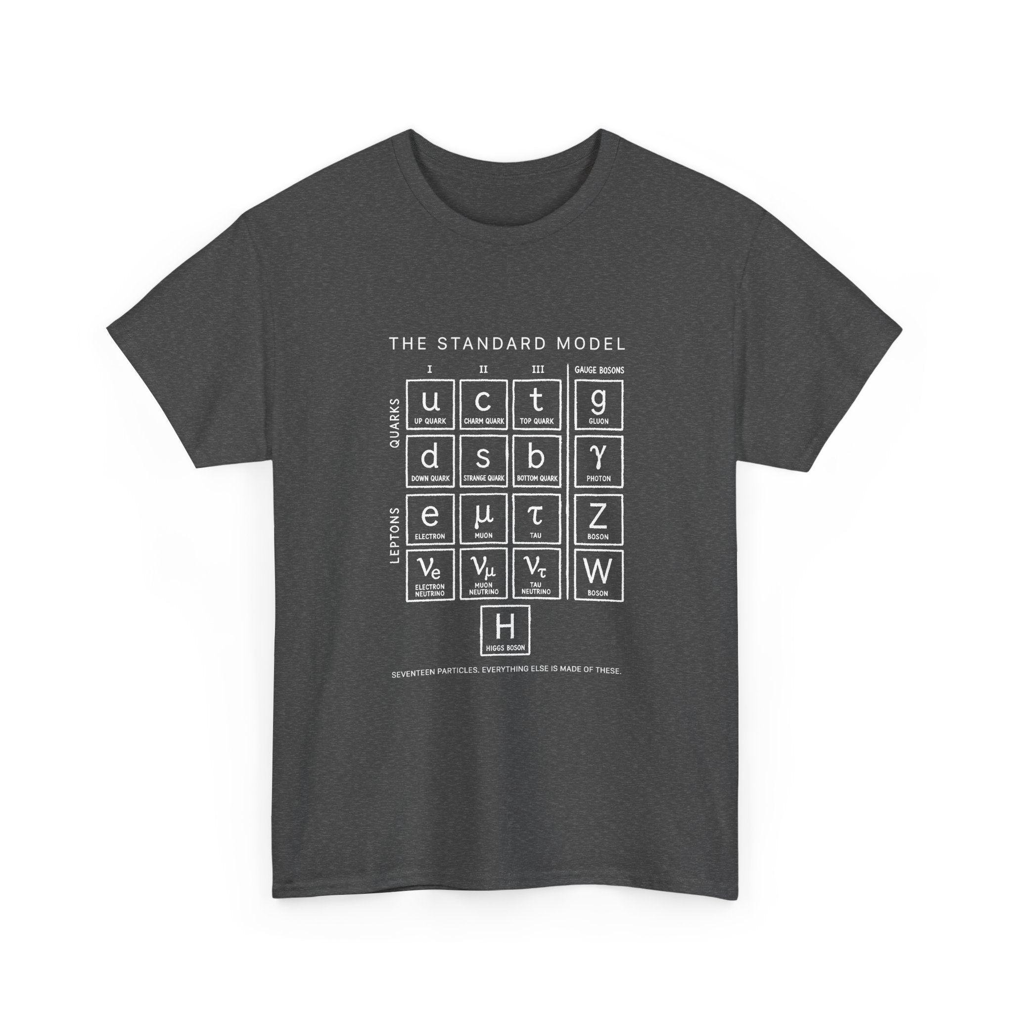 The Standard Model