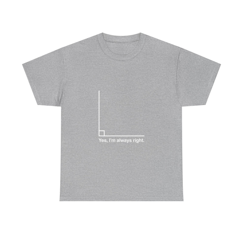 Funny Geek T-Shirt, Nerd Shirt, Math Humor Tee, Always Right Graph Shirt, Sarcastic Science Gift, Clever Joke Top, Geeky Casual Wear