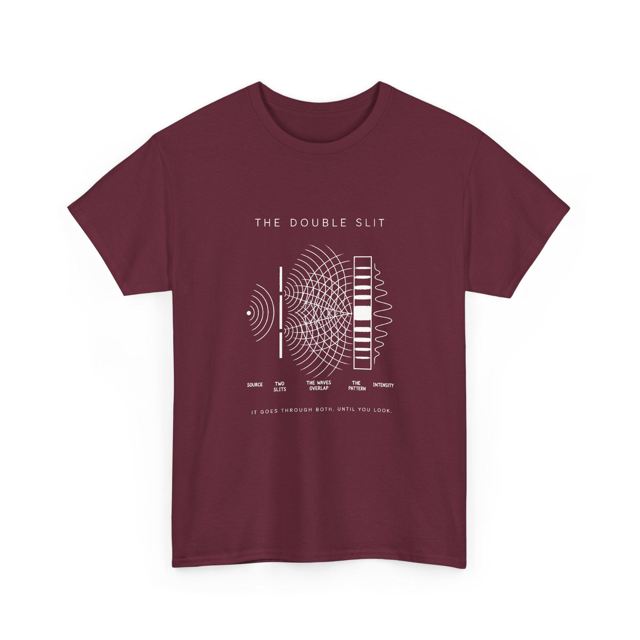 The Double Slit