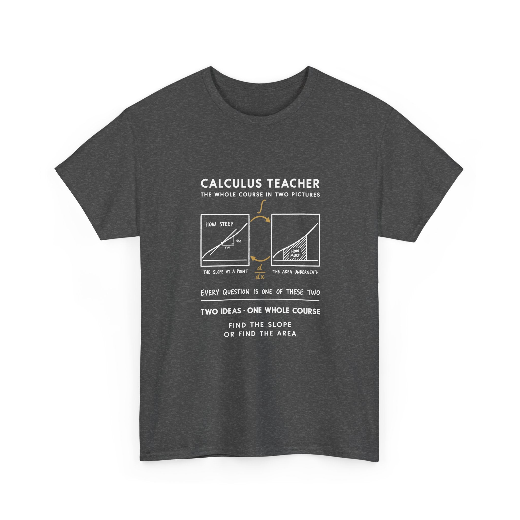 Calculus Teacher