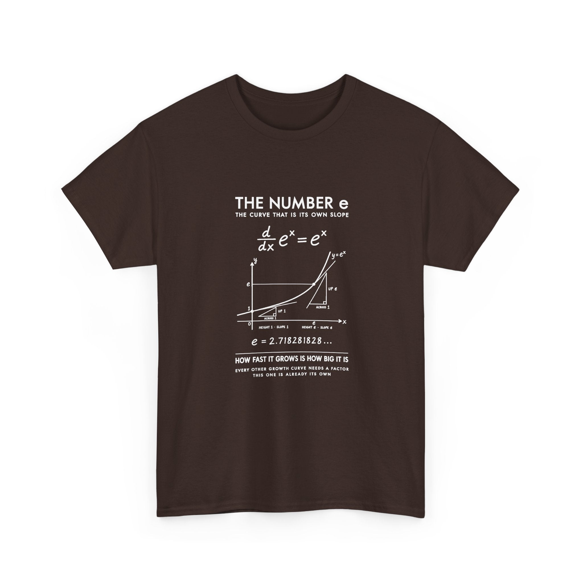 The Number e