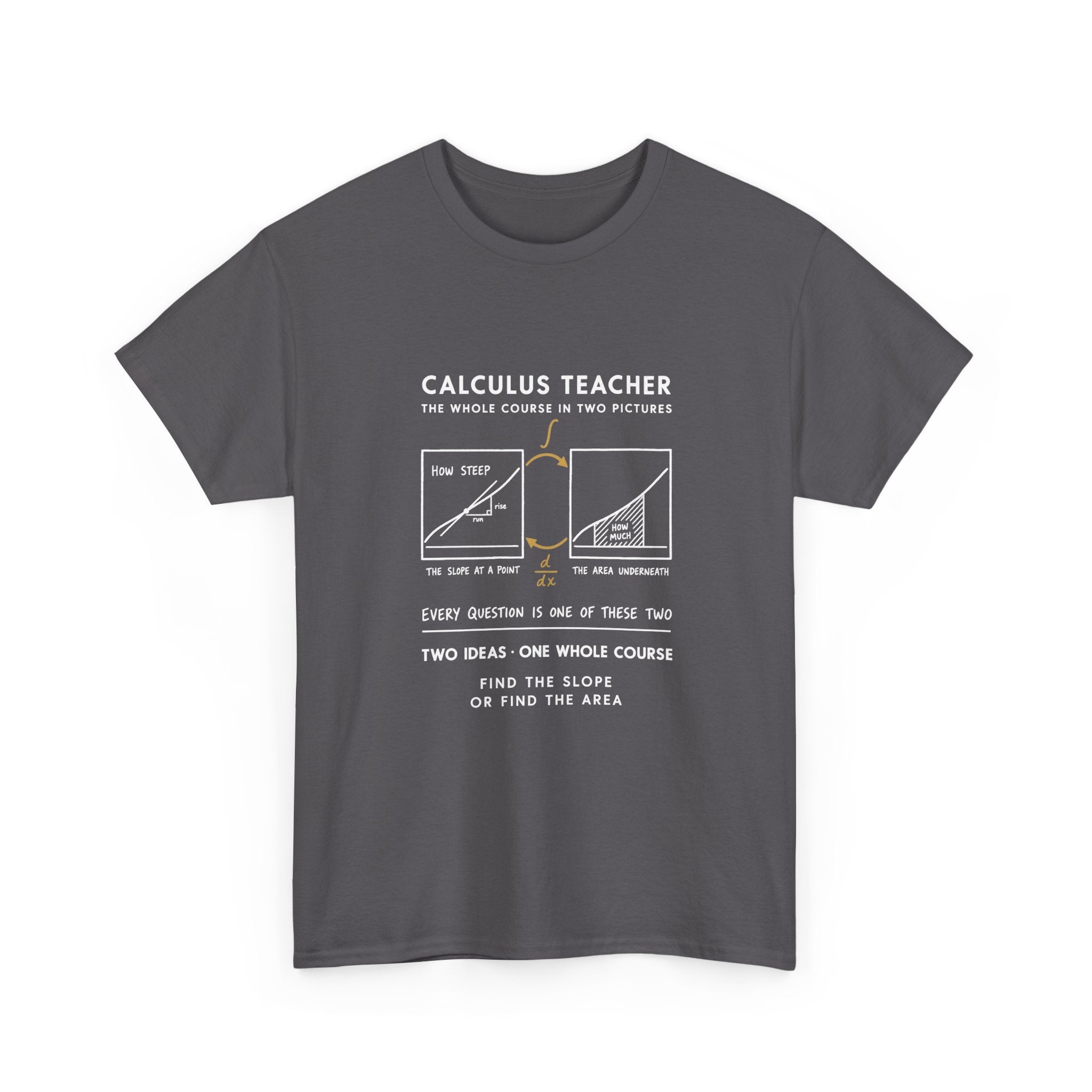 Calculus Teacher