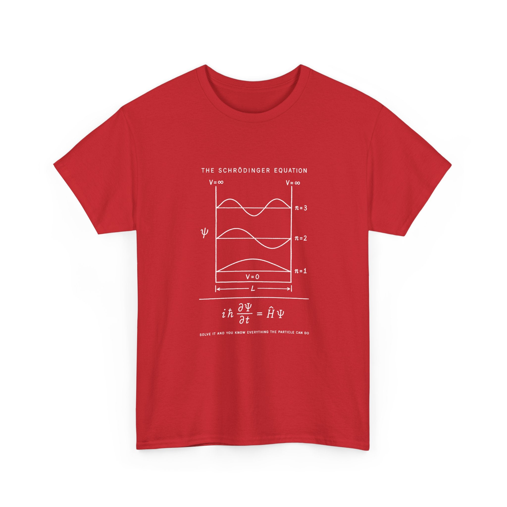 The Schrödinger Equation