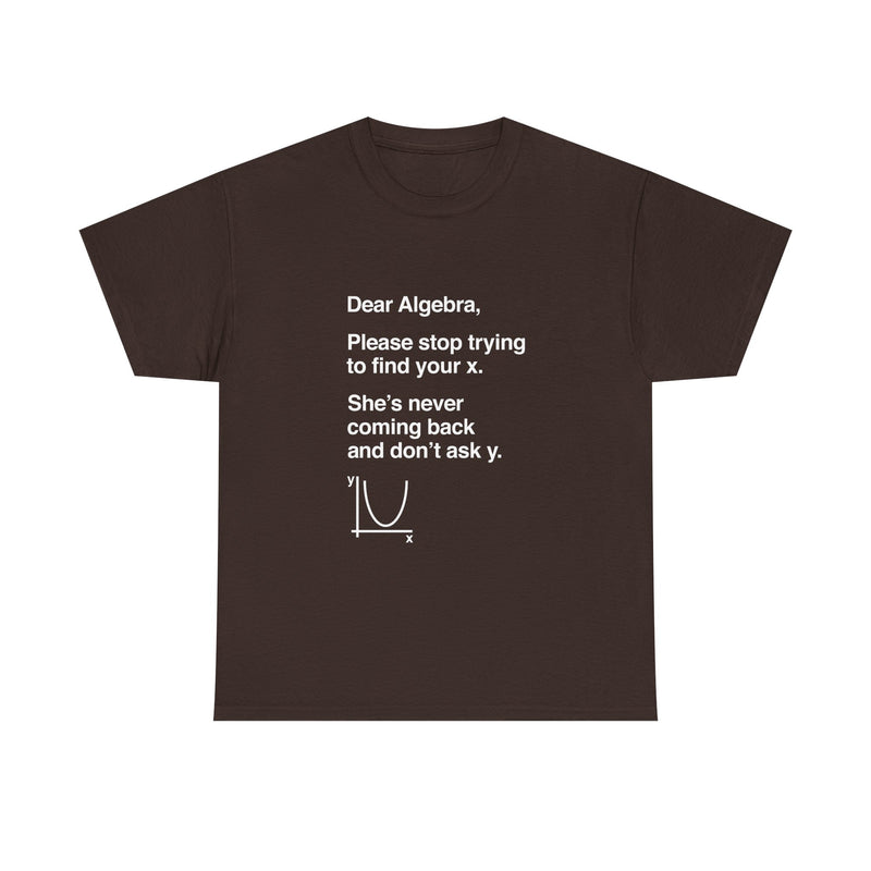 Funny Algebra T-Shirt, Math Humor Tee, Geek T-Shirt, Nerd Shirt, Sarcastic Science Gift, Educational Joke Top, Student Study Shirt