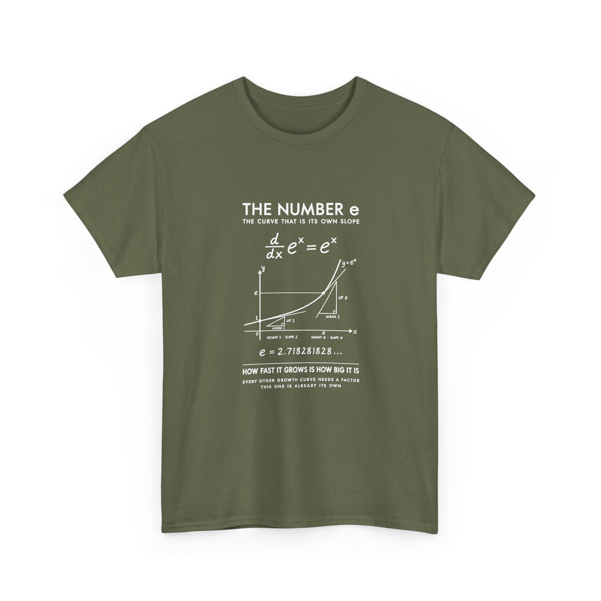 The Number e