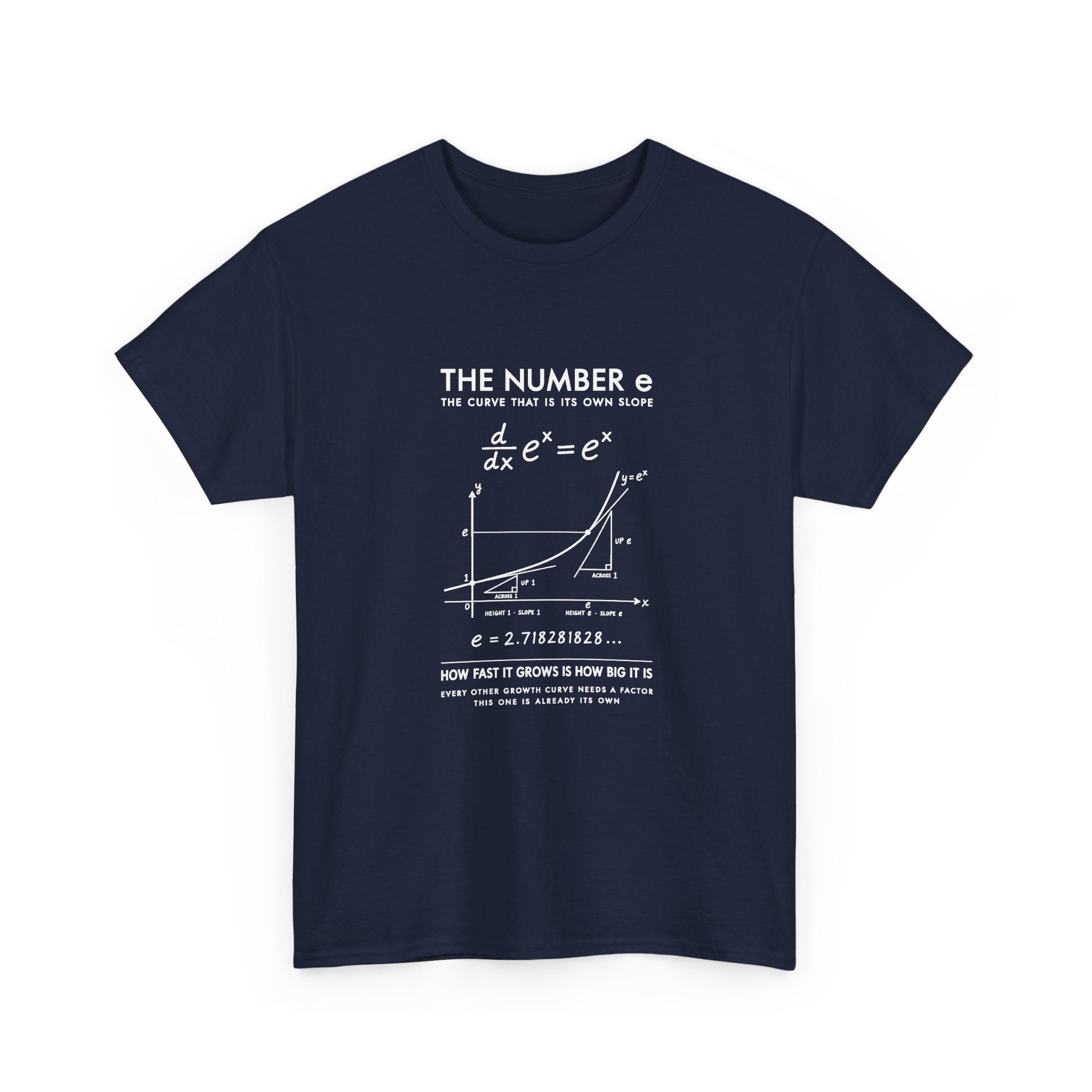 The Number e