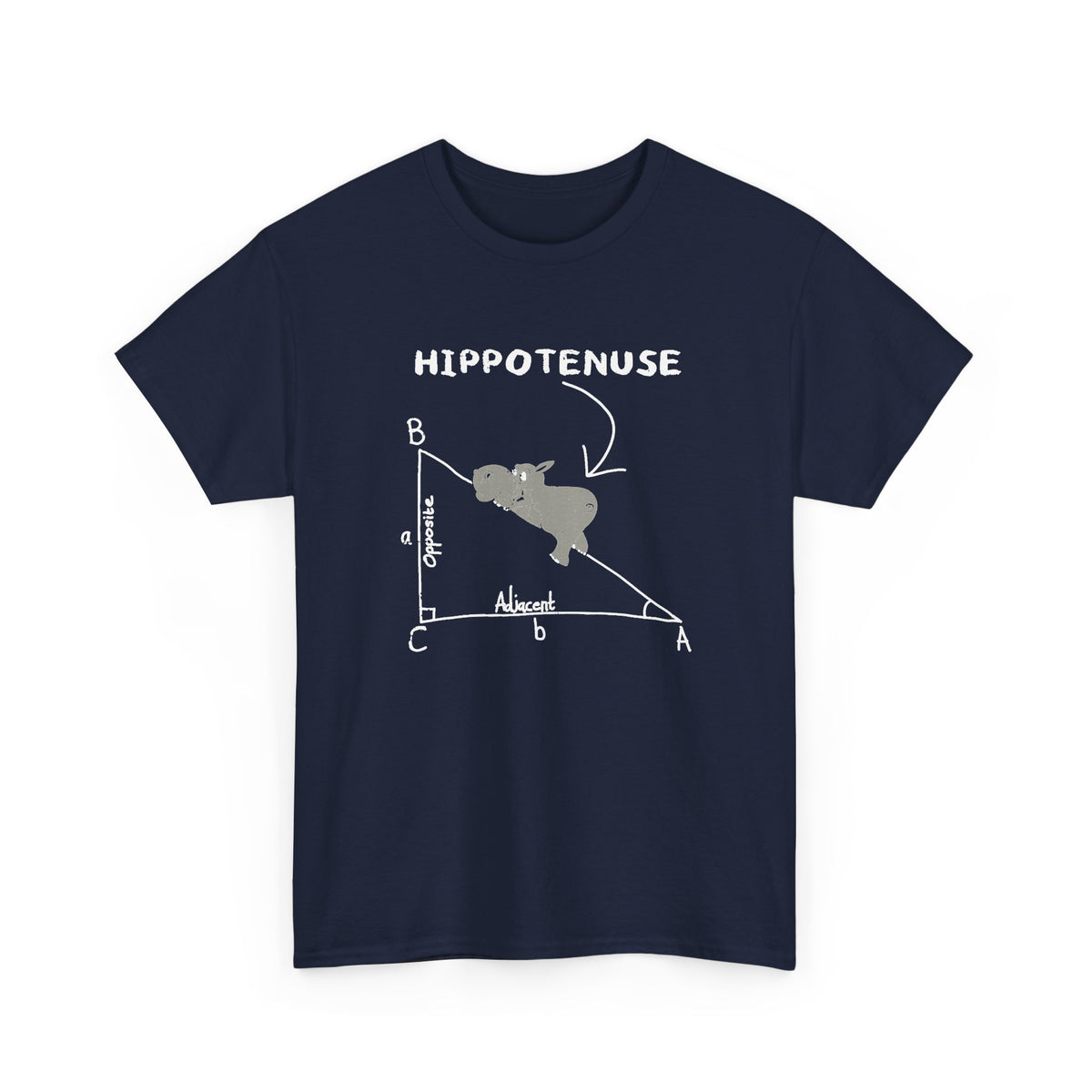 Geometry Hippotenuse