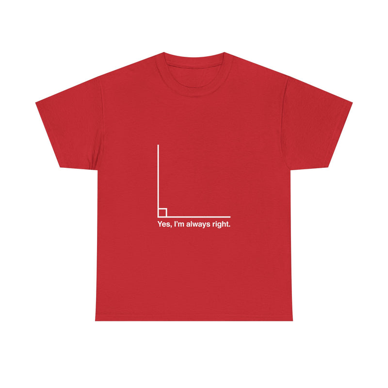 Funny Geek T-Shirt, Nerd Shirt, Math Humor Tee, Always Right Graph Shirt, Sarcastic Science Gift, Clever Joke Top, Geeky Casual Wear