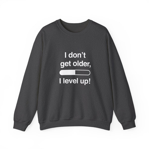 I Don't Get Older I Level Up Sweatshirt