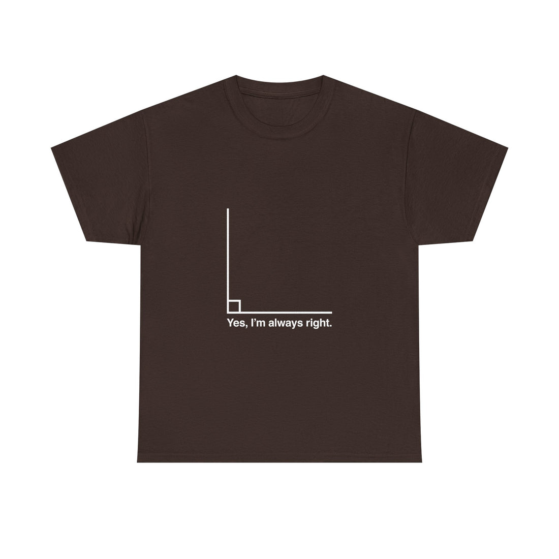 Funny Geek T-Shirt, Nerd Shirt, Math Humor Tee, Always Right Graph Shirt, Sarcastic Science Gift, Clever Joke Top, Geeky Casual Wear