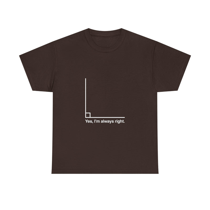 Funny Geek T-Shirt, Nerd Shirt, Math Humor Tee, Always Right Graph Shirt, Sarcastic Science Gift, Clever Joke Top, Geeky Casual Wear