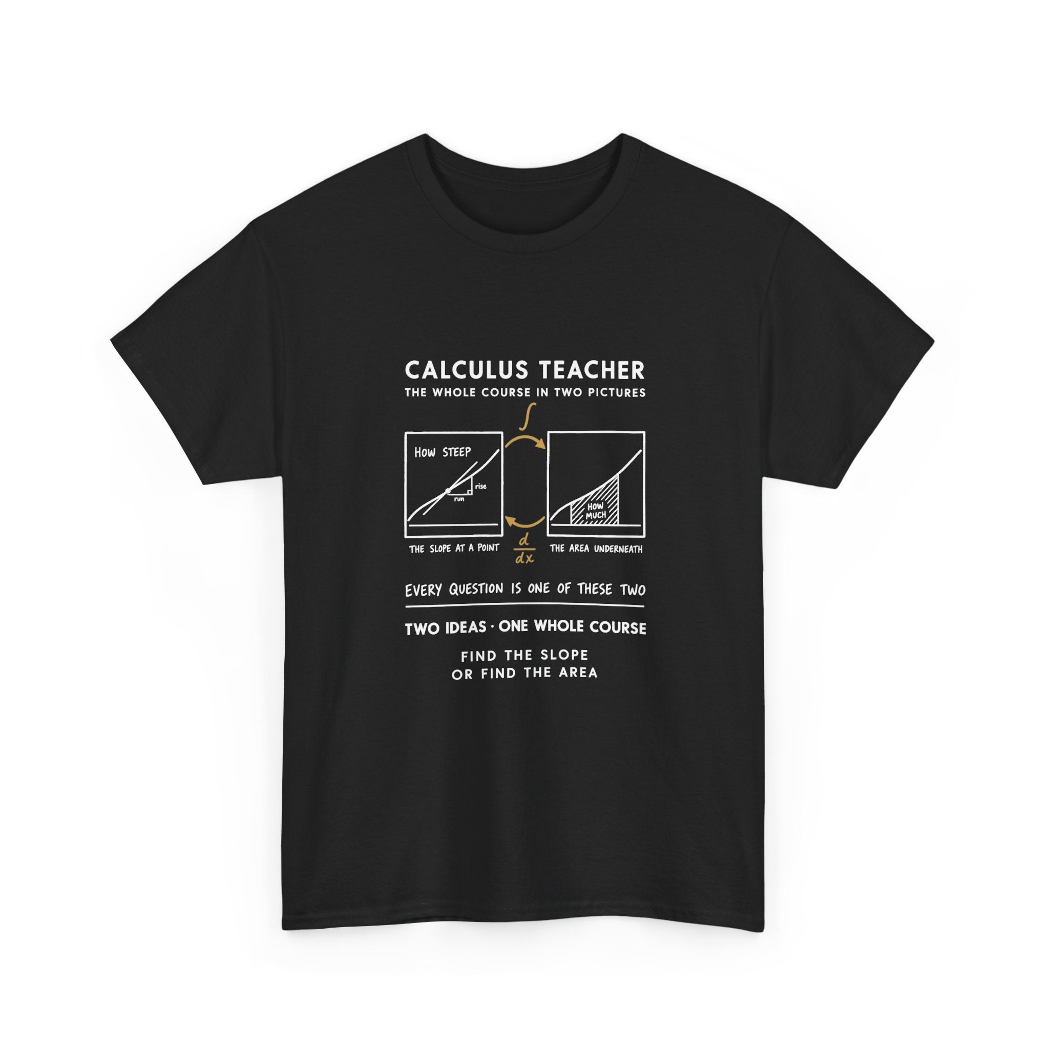 Calculus Teacher