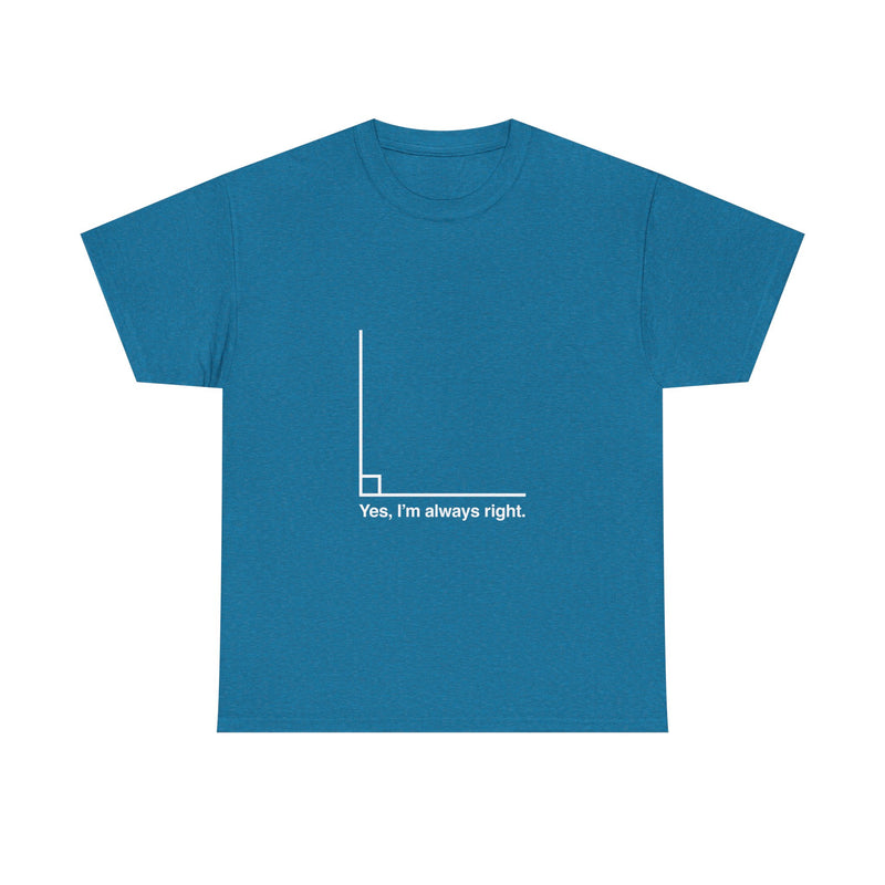 Funny Geek T-Shirt, Nerd Shirt, Math Humor Tee, Always Right Graph Shirt, Sarcastic Science Gift, Clever Joke Top, Geeky Casual Wear