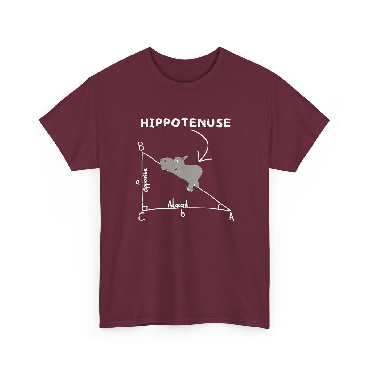 Geometry Hippotenuse