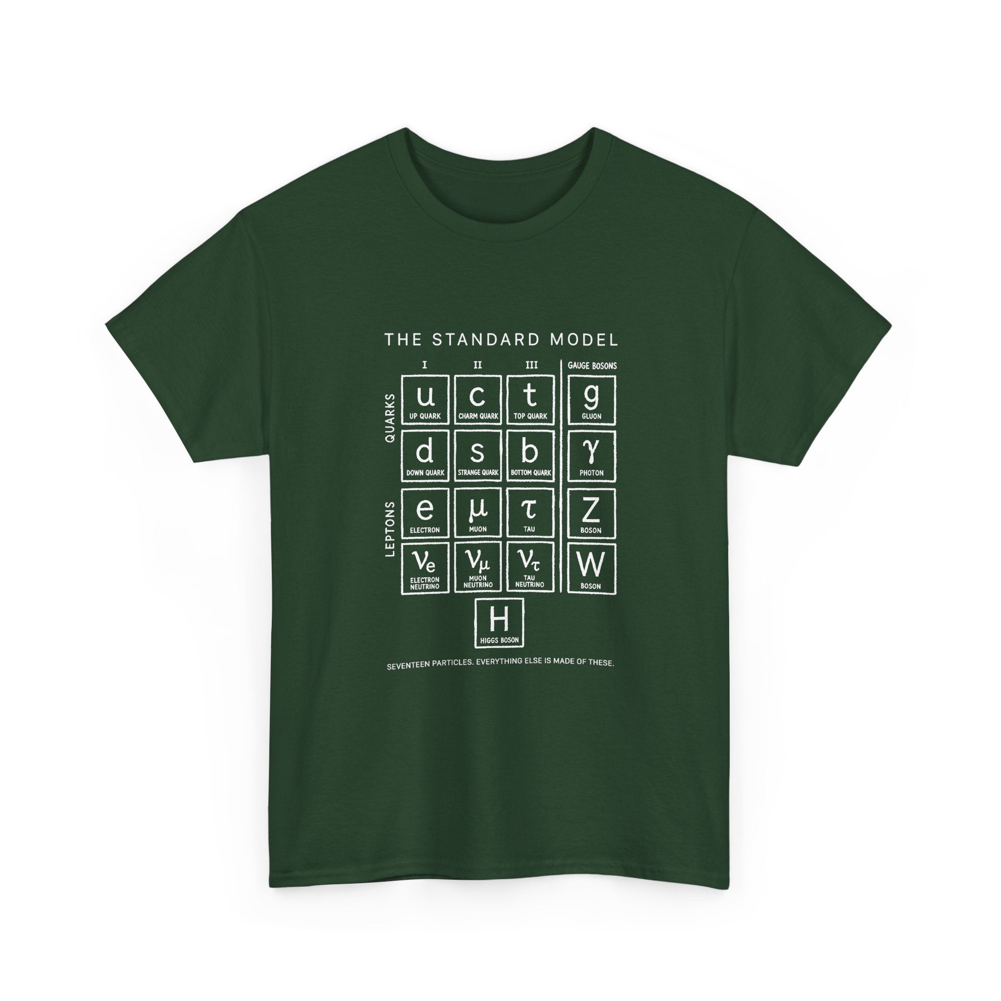 The Standard Model