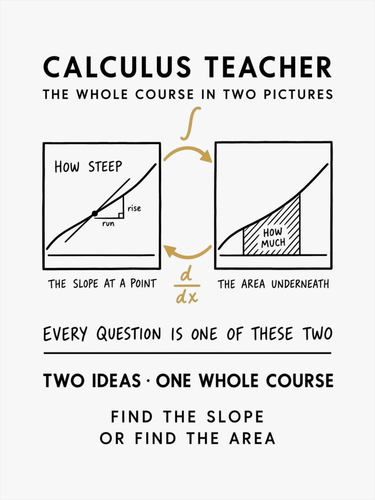 Calculus Teacher Poster front