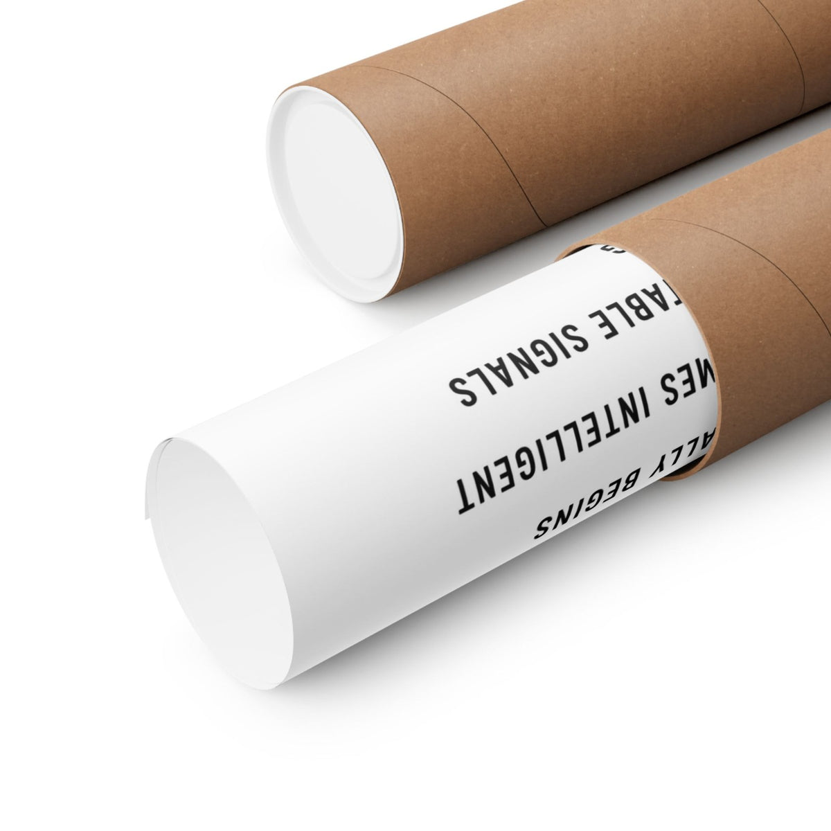 The Drake Equation Poster shipping tube