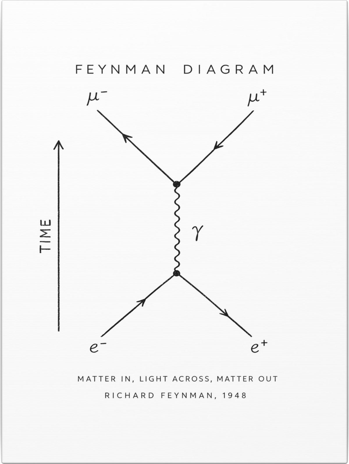Feynman Diagram Canvas front
