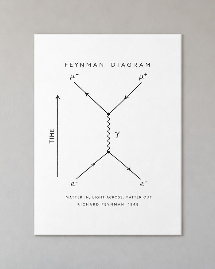 Feynman Diagram Poster
