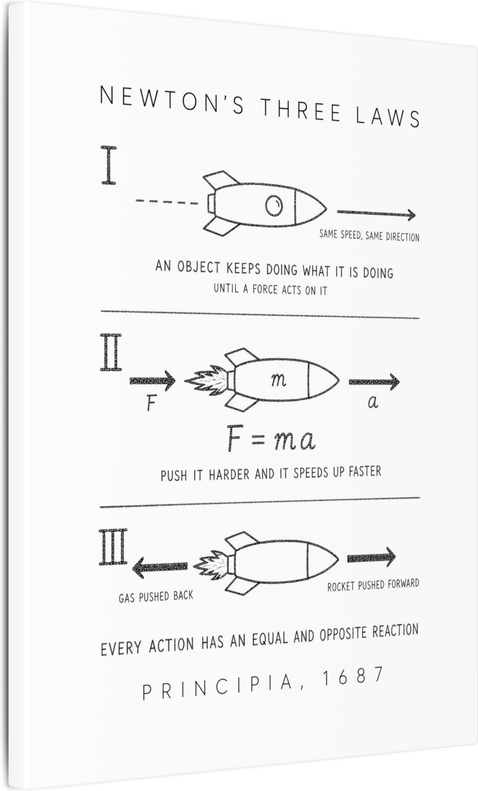 Newton's Three Laws Canvas angle