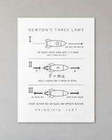 Newton's Three Laws Poster