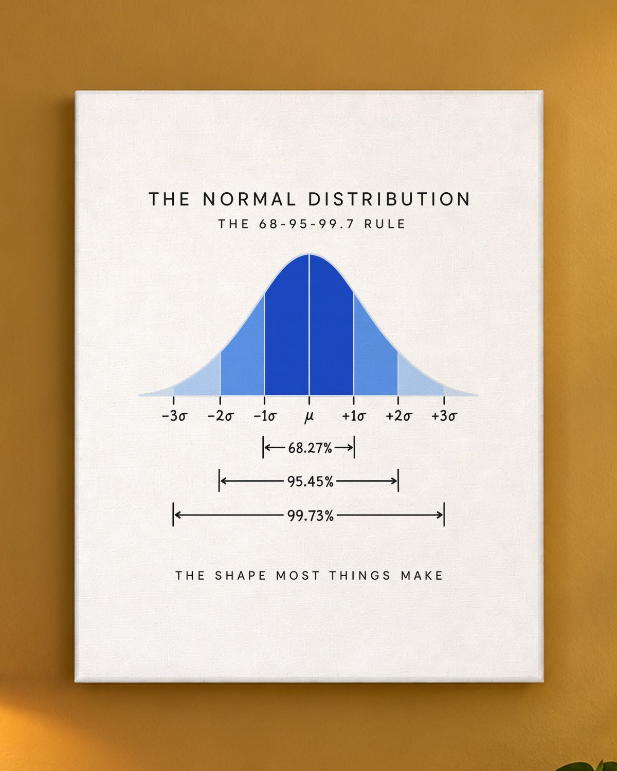 The Normal Distribution Canvas on a wall