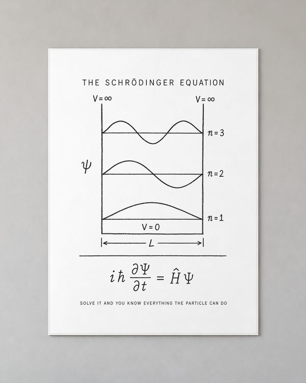 The Schrödinger Equation Poster