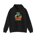 Stay Curious Hoodie